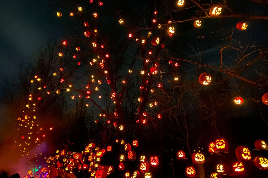 pumpkin lanterns hanging on the trees 