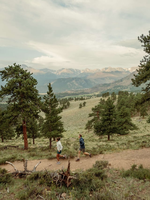 REI Mega Pro Deal