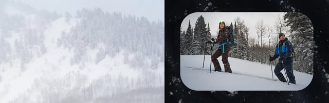 explore the collection