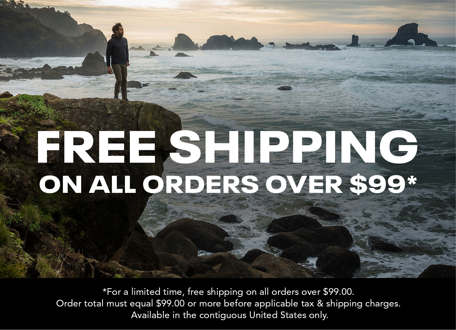 Free Shipping on all orders over $99*
